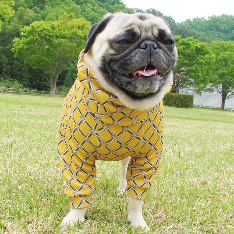 ��ͥ�å��ʥ����������եȥ졼�ʡ��ڰ���Τߥ᡼���زġ�