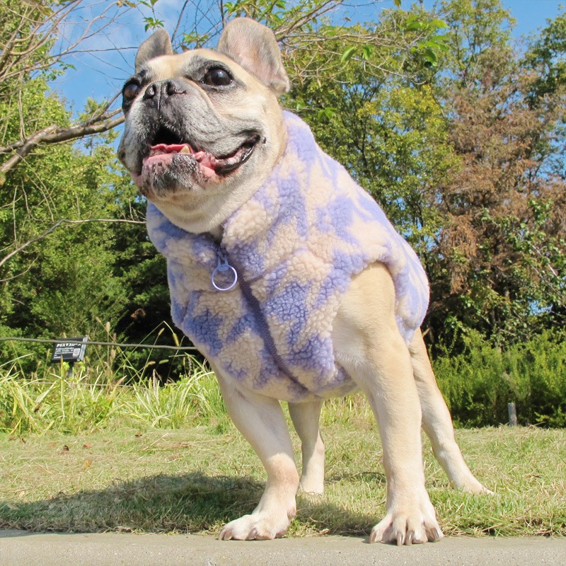 礭ĻʻҤ⤳⤳ܥ٥ȡڥ᡼Բġ