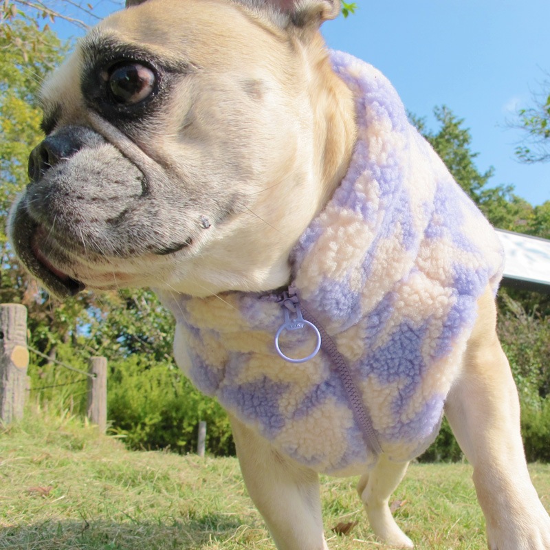 礭ĻʻҤ⤳⤳ܥ٥ȡڥ᡼Բġ