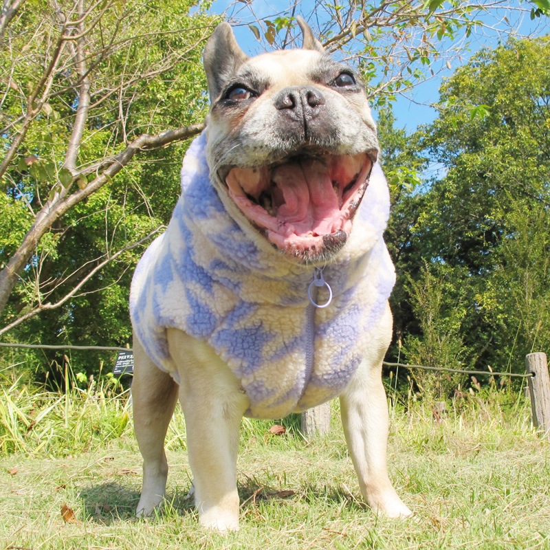 礭ĻʻҤ⤳⤳ܥ٥ȡڥ᡼Բġ