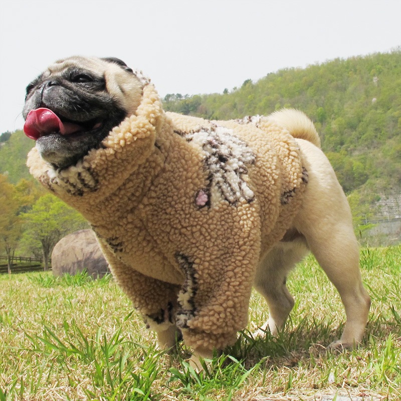 �ե��ˡ��ʤ������Υܥ��ȥ졼�ʡ��ڥ᡼�����Բġ�