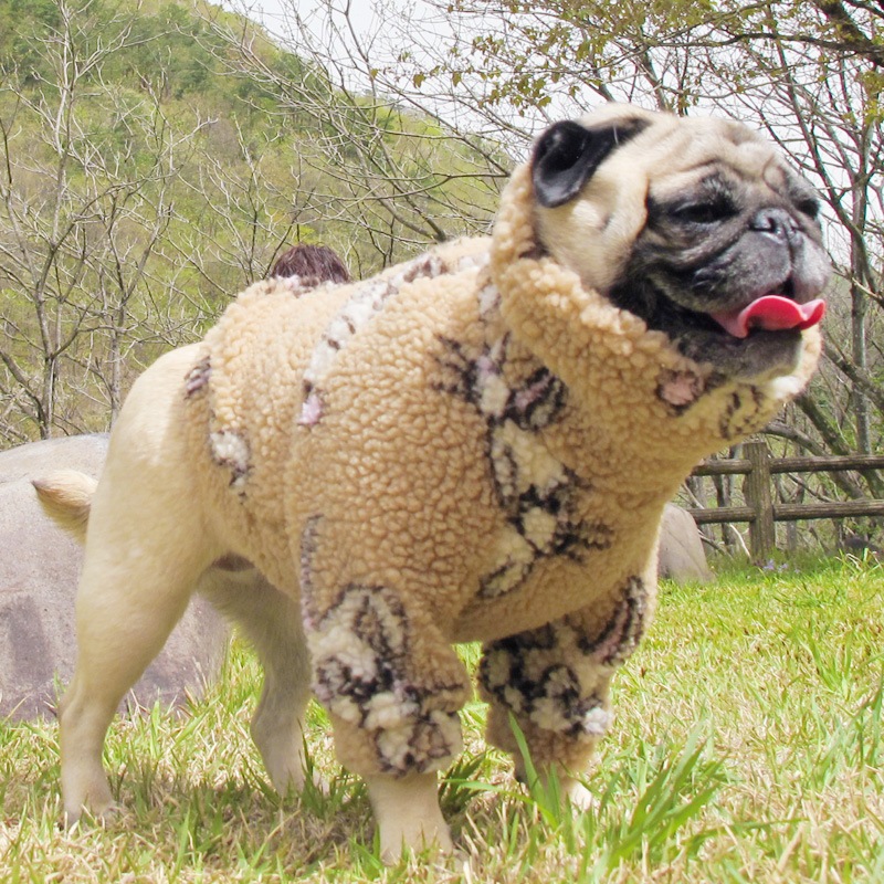 �ե��ˡ��ʤ������Υܥ��ȥ졼�ʡ��ڥ᡼�����Բġ�