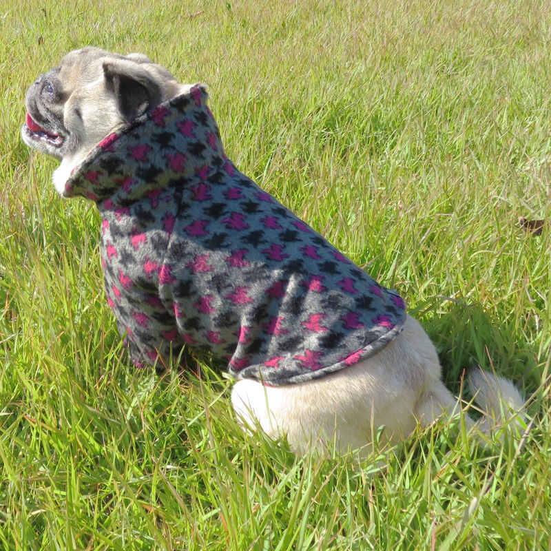 11/14 21�����䳫�ϡ��ԥ󥯤���������Ļ�ʻҥ��㥱�åȡڥ᡼�����Բġ�