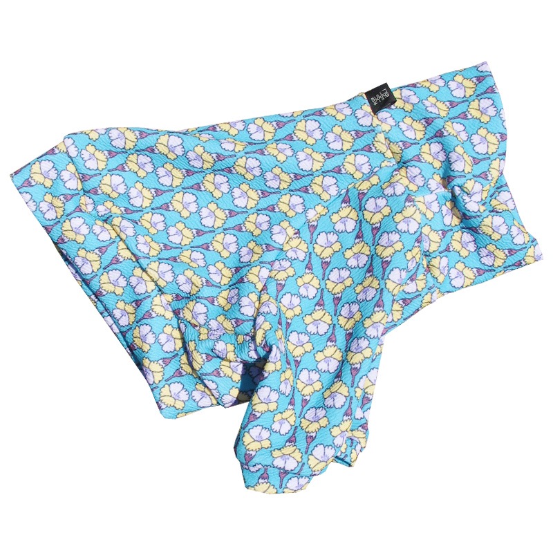 �Ĥ�XL�������Τߡ�������֥꡼�եȥ졼�ʡ��ڰ���Τߥ᡼���زġ�