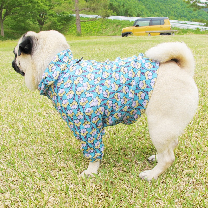 �Ĥ�XL�������Τߡ�������֥꡼�եȥ졼�ʡ��ڰ���Τߥ᡼���زġ�