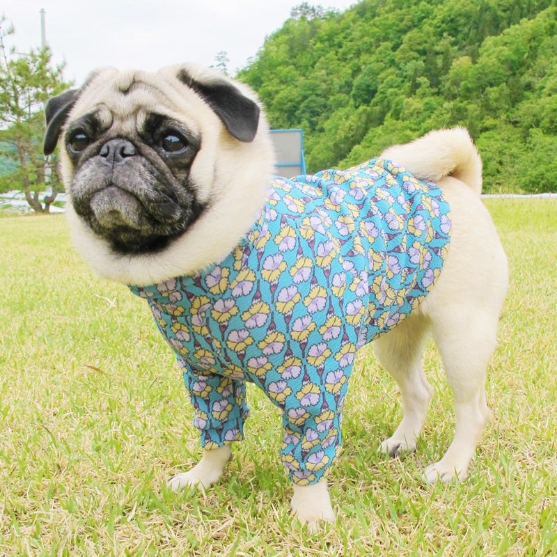 �Ĥ�XL�������Τߡ�������֥꡼�եȥ졼�ʡ��ڰ���Τߥ᡼���زġ�