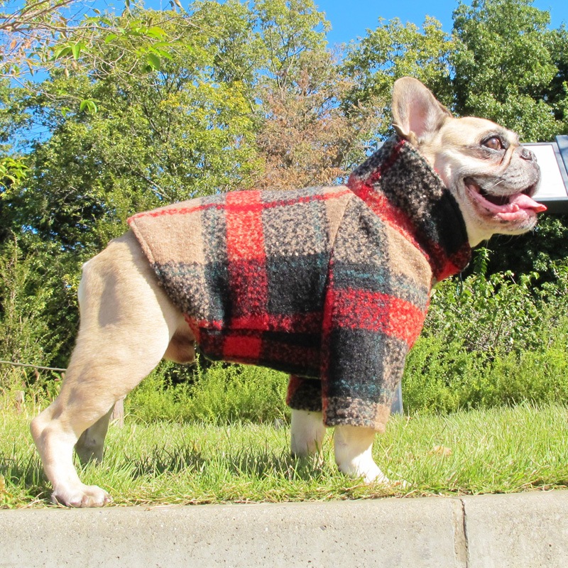 ͥåΥϥͥå㥱åȡڥ᡼Բġ