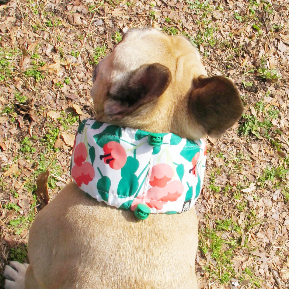 �����륹�̡��ɡʤ��֡ˡ�2�Ĥޤǥ᡼���زġ�