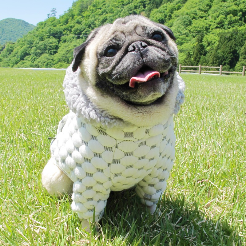 �פä���Ω�Τ��֥ѡ����ڥ᡼�����Բġ�