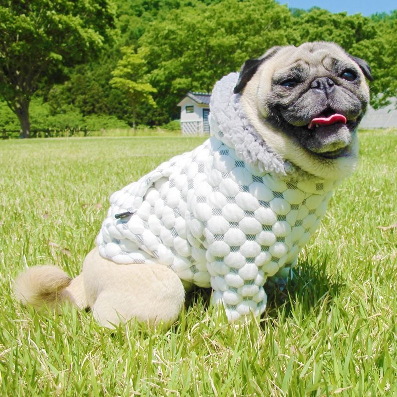 �פä���Ω�Τ��֥ѡ����ڥ᡼�����Բġ�