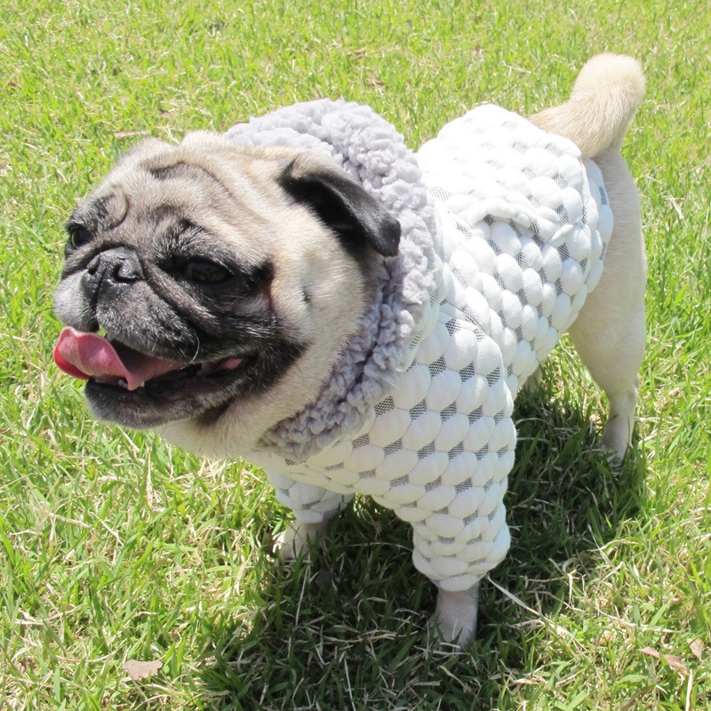 �פä���Ω�Τ��֥ѡ����ڥ᡼�����Բġ�