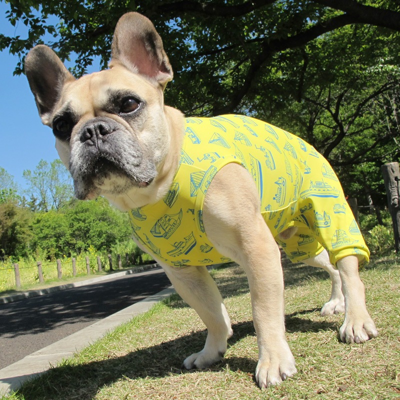 �����罸��ƤĤʤ��ڲƤĤʤ�2��or�ƤĤʤ�1���T�����(����)1��ϥ᡼���زġ�