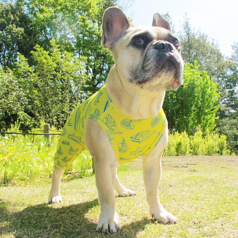 �����罸��ƤĤʤ��ڲƤĤʤ�2��or�ƤĤʤ�1���T�����(����)1��ϥ᡼���زġ�