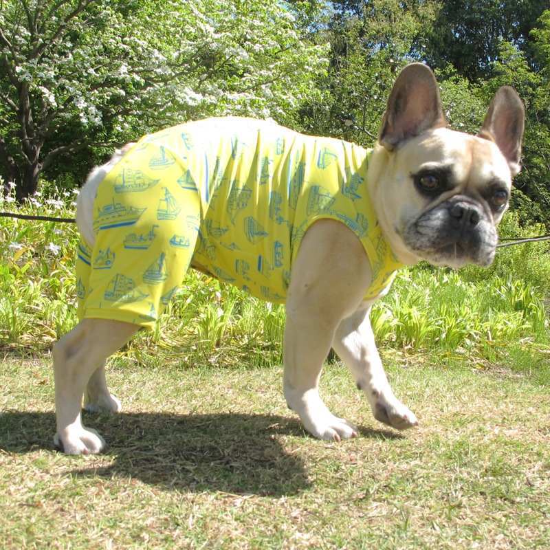 �����罸��ƤĤʤ��ڲƤĤʤ�2��or�ƤĤʤ�1���T�����(����)1��ϥ᡼���زġ�