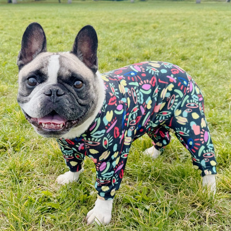 ���奢����Ū�Ĥʤ��ڰ���Τߥ᡼���زġ�