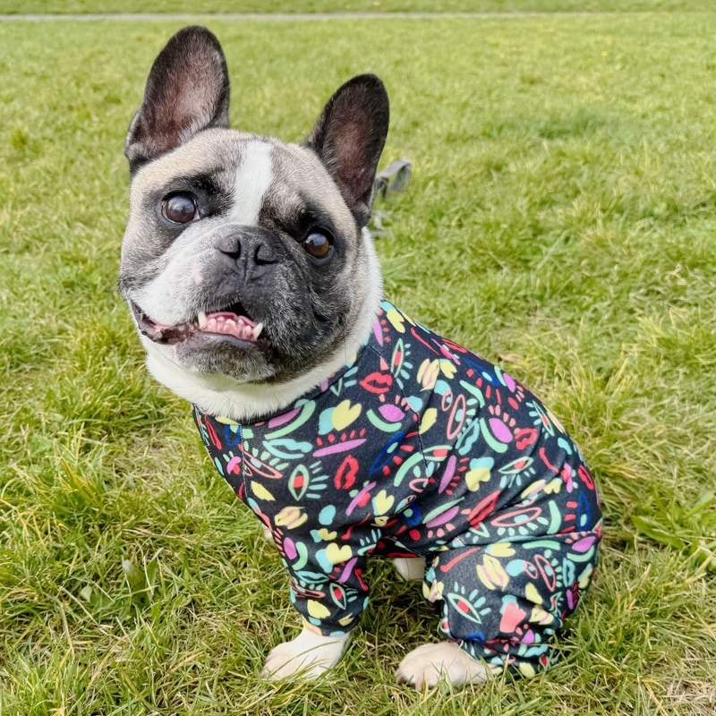 ���奢����Ū�Ĥʤ��ڰ���Τߥ᡼���زġ�