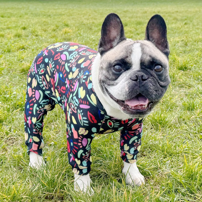 ���奢����Ū�Ĥʤ��ڰ���Τߥ᡼���زġ�