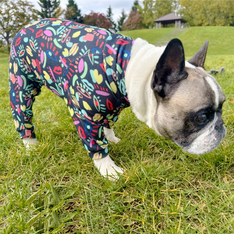 ���奢����Ū�Ĥʤ��ڰ���Τߥ᡼���زġ�