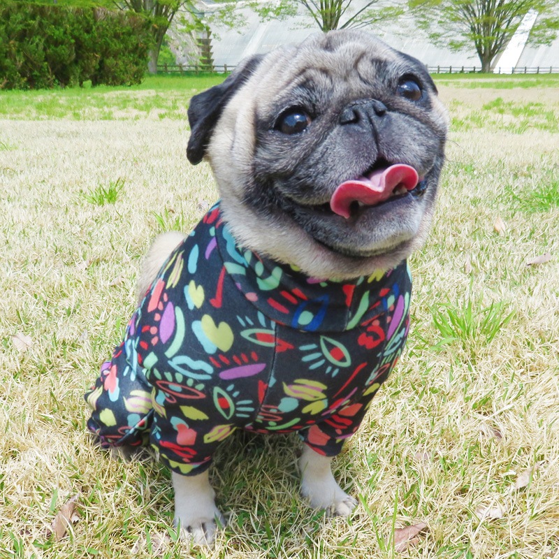 ���奢����Ū�Ĥʤ��ڰ���Τߥ᡼���زġ�