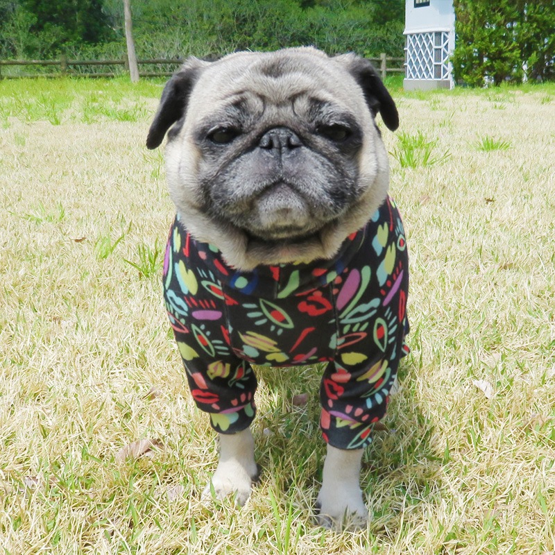 ���奢����Ū�Ĥʤ��ڰ���Τߥ᡼���زġ�