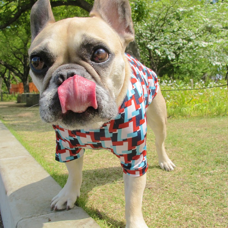 �Ĥ�L�������Τߡ����������äȤ������ԥ���ġ�T�����2��or���󥯥ȥå�1���T�����1��ϥ᡼���زġ�