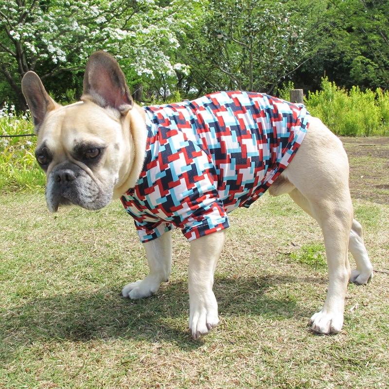 �Ĥ�L�������Τߡ����������äȤ������ԥ���ġ�T�����2��or���󥯥ȥå�1���T�����1��ϥ᡼���زġ�