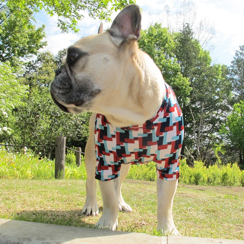 �Ĥ�L�������Τߡ����������äȤ������ԥ���ġ�T�����2��or���󥯥ȥå�1���T�����1��ϥ᡼���زġ�