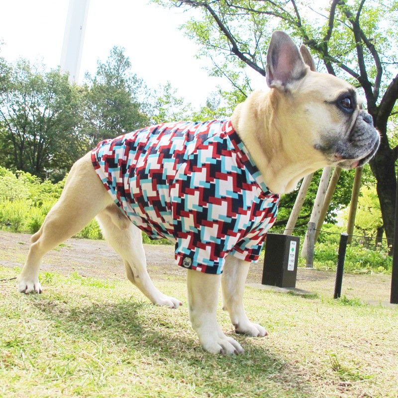 �Ĥ�L�������Τߡ����������äȤ������ԥ���ġ�T�����2��or���󥯥ȥå�1���T�����1��ϥ᡼���زġ�