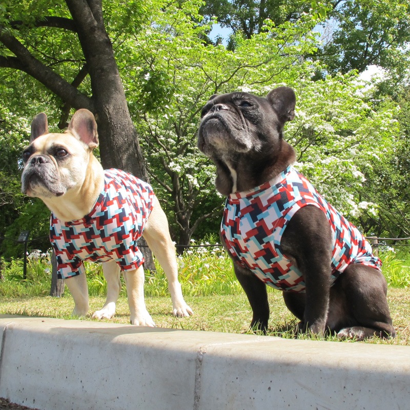 �Ĥ�L�������Τߡ����������äȤ������ԥ���ġ�T�����2��or���󥯥ȥå�1���T�����1��ϥ᡼���زġ�