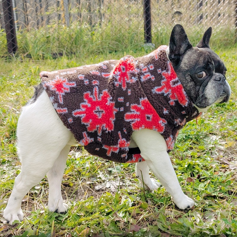 11/25 21�����䳫�ϡ��ʥХ������ܥ��٥��ȡڥ᡼�����Բġ�