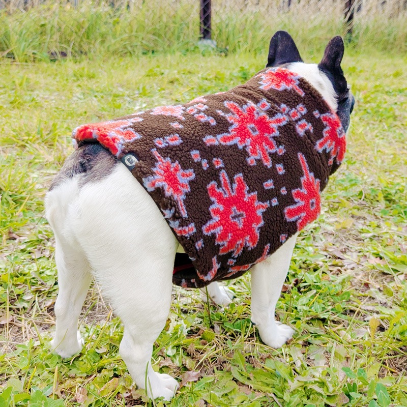 11/25 21�����䳫�ϡ��ʥХ������ܥ��٥��ȡڥ᡼�����Բġ�