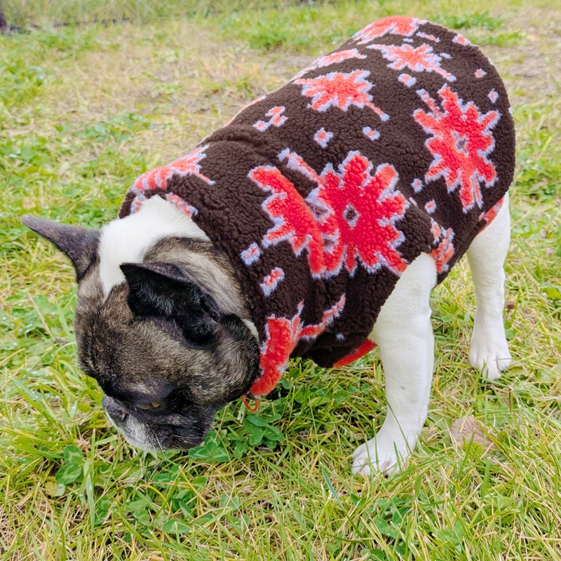 11/25 21�����䳫�ϡ��ʥХ������ܥ��٥��ȡڥ᡼�����Բġ�