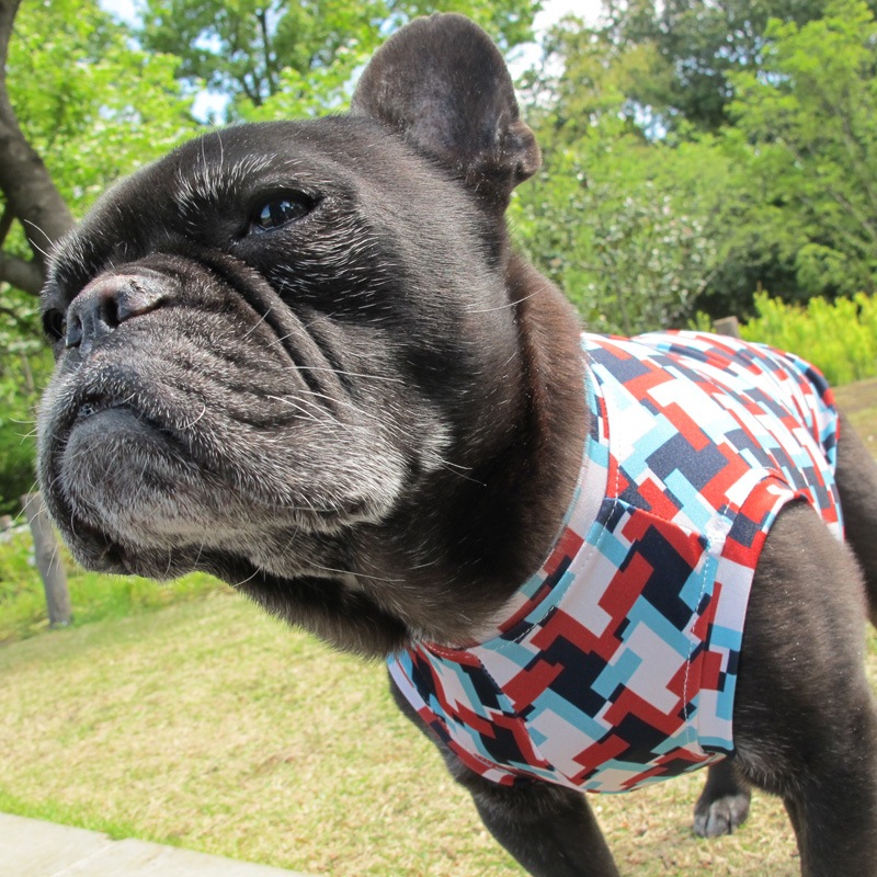 ���������äȤ��������󥯥ȥåס�T�����2��or���󥯥ȥå�1���T�����1��ϥ᡼���زġ�