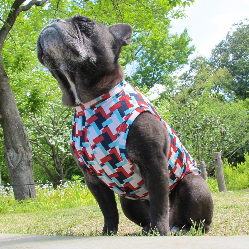 ���������äȤ��������󥯥ȥåס�T�����2��or���󥯥ȥå�1���T�����1��ϥ᡼���زġ�