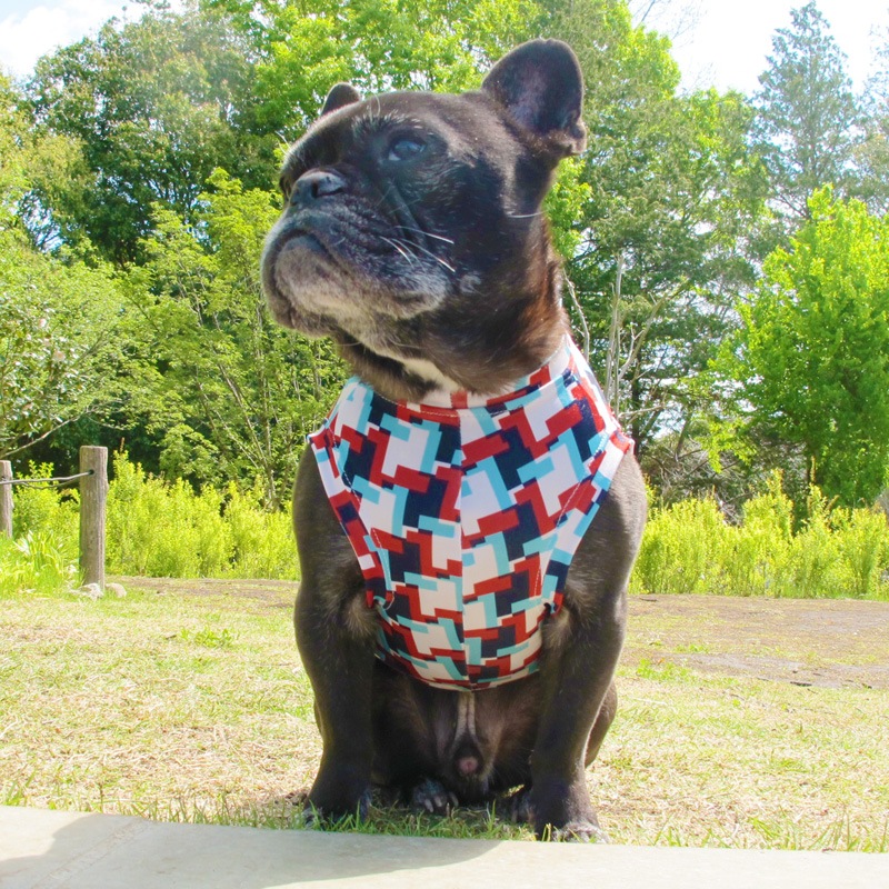 ���������äȤ��������󥯥ȥåס�T�����2��or���󥯥ȥå�1���T�����1��ϥ᡼���زġ�