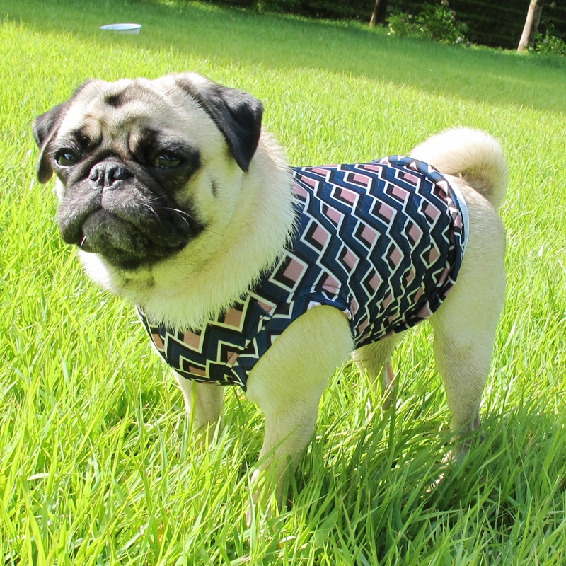 ��ޯ���Τܤ�ˤ⸫���륿�󥯥ȥåס�T�����2��or���󥯥ȥå�1���T�����1��ϥ᡼���زġ�