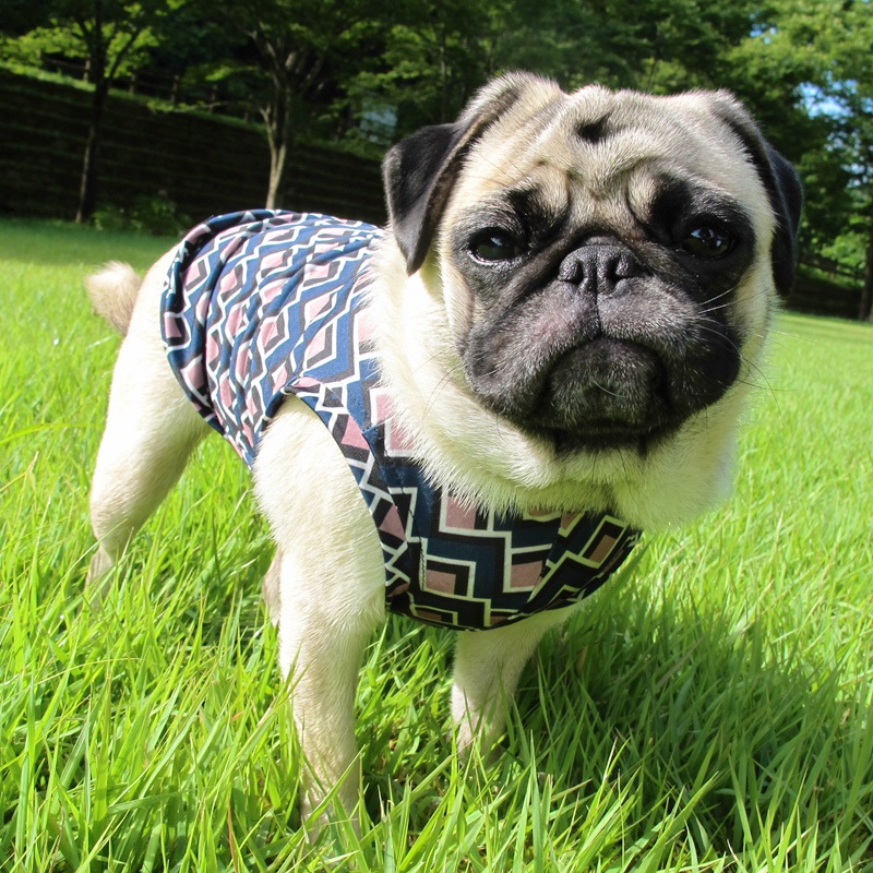 ��ޯ���Τܤ�ˤ⸫���륿�󥯥ȥåס�T�����2��or���󥯥ȥå�1���T�����1��ϥ᡼���زġ�