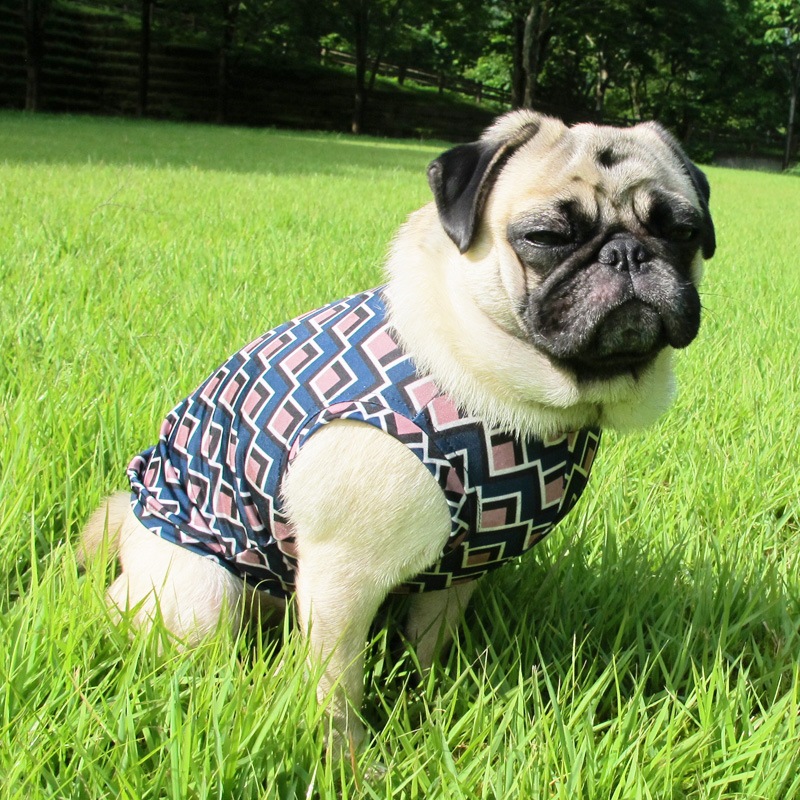 ��ޯ���Τܤ�ˤ⸫���륿�󥯥ȥåס�T�����2��or���󥯥ȥå�1���T�����1��ϥ᡼���زġ�