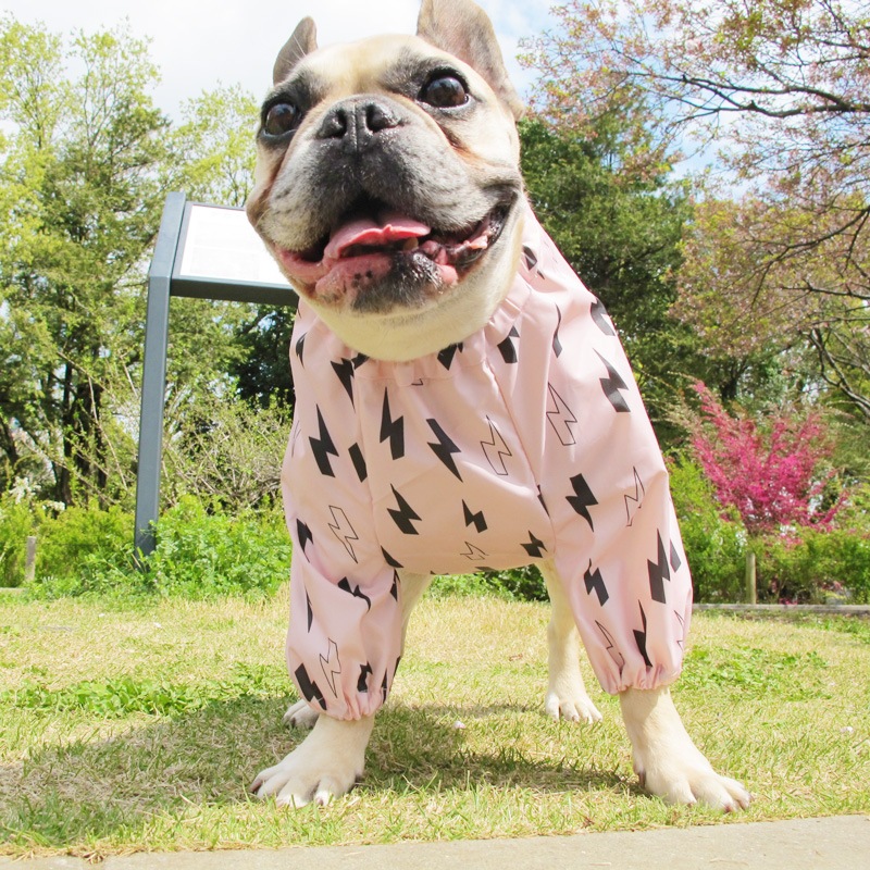 ������ӤΤߥ쥤�󥳡��ȡ����̡��ɥա��ɡ�ñ�ʥ᡼���ز�/���̡��ɥա��ɤȤ�Ʊ���᡼���زġ�