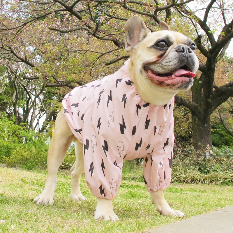 ������ӤΤߥ쥤�󥳡��ȡ����̡��ɥա��ɡ�ñ�ʥ᡼���ز�/���̡��ɥա��ɤȤ�Ʊ���᡼���زġ�