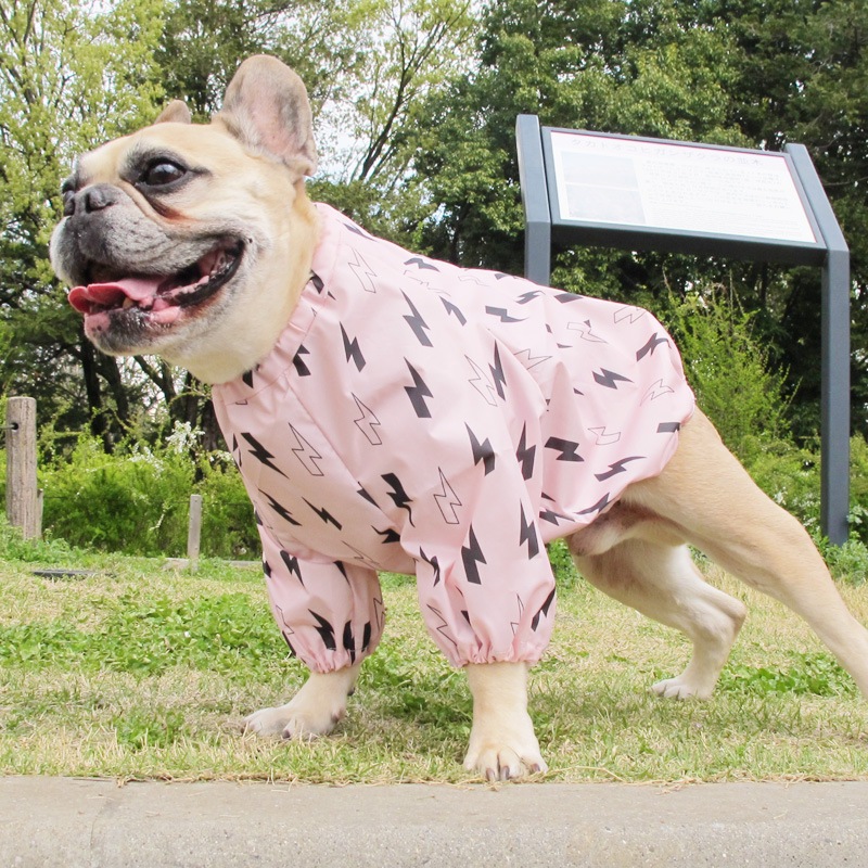 ������ӤΤߥ쥤�󥳡��ȡ����̡��ɥա��ɡ�ñ�ʥ᡼���ز�/���̡��ɥա��ɤȤ�Ʊ���᡼���زġ�