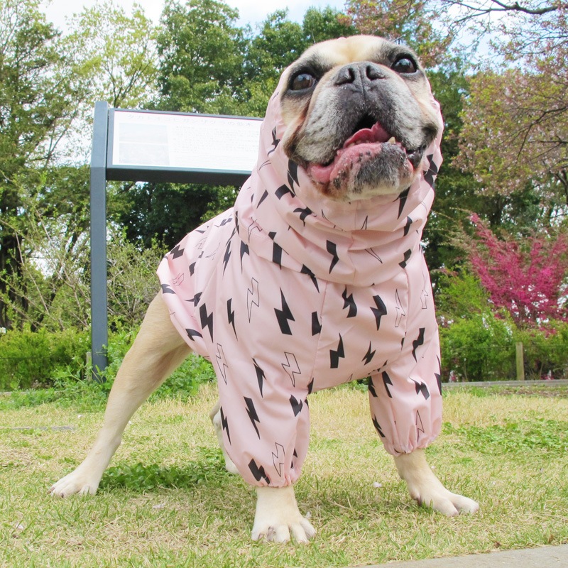 ������ӤΤߥ쥤�󥳡��ȡ����̡��ɥա��ɡ�ñ�ʥ᡼���ز�/���̡��ɥա��ɤȤ�Ʊ���᡼���زġ�