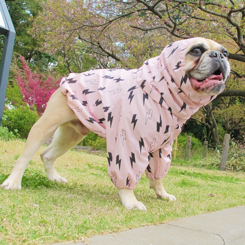 ������ӤΤߥ쥤�󥳡��ȡ����̡��ɥա��ɡ�ñ�ʥ᡼���ز�/���̡��ɥա��ɤȤ�Ʊ���᡼���زġ�