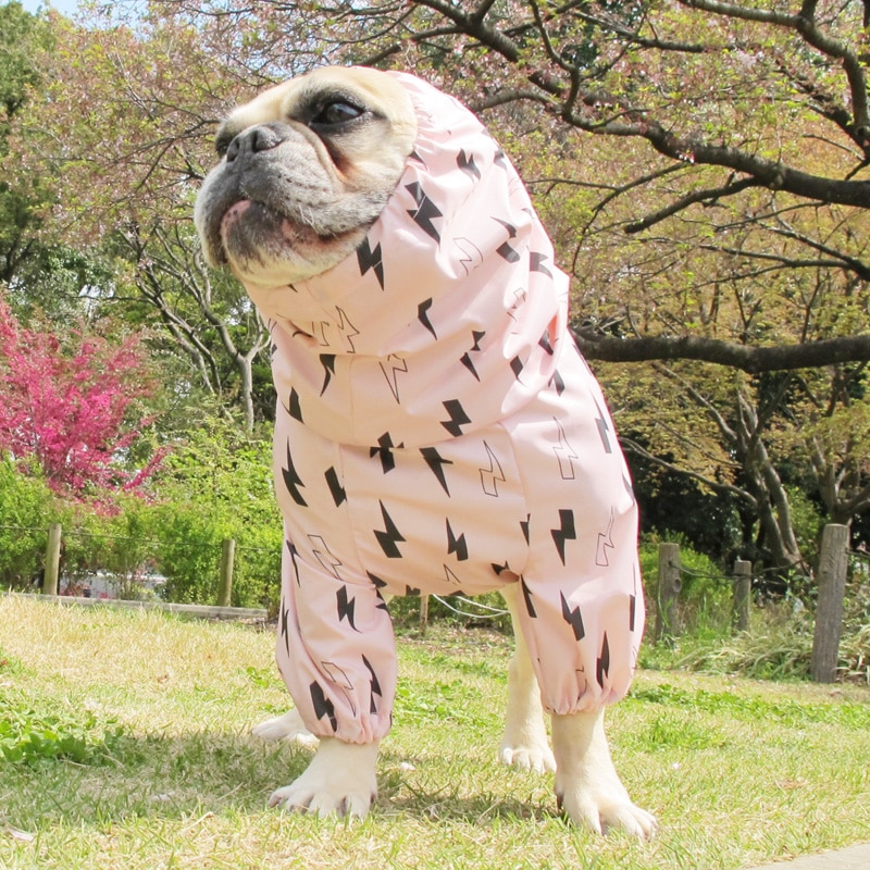 ������ӤΤߥ쥤�󥳡��ȡ����̡��ɥա��ɡ�ñ�ʥ᡼���ز�/���̡��ɥա��ɤȤ�Ʊ���᡼���زġ�