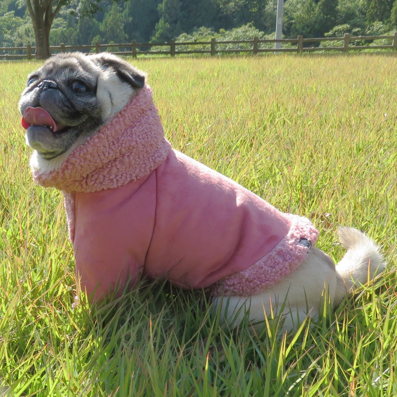 11/28 21時販売開始☆ピンクライダースジャケット【メール便不可