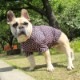 �Ĥ�S�������Τߡ�������쥹�ѥ���������T����ġ�T�����2��or���󥯥ȥå�1���T�����1��ϥ᡼���زġ�