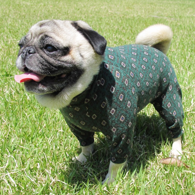 ����ƥ������äݤ����������˥åȥ����Ĥʤ��ڰ���Τߥ᡼���زġ�