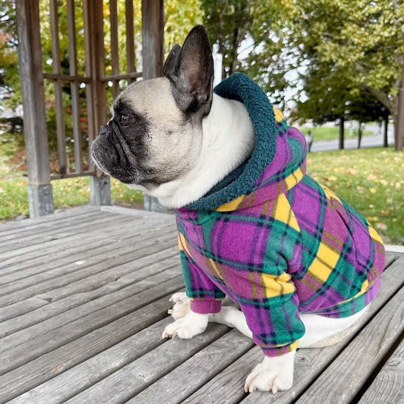 ��ͥ����å��Υե꡼���ѡ����ڥ᡼�����Բġ�