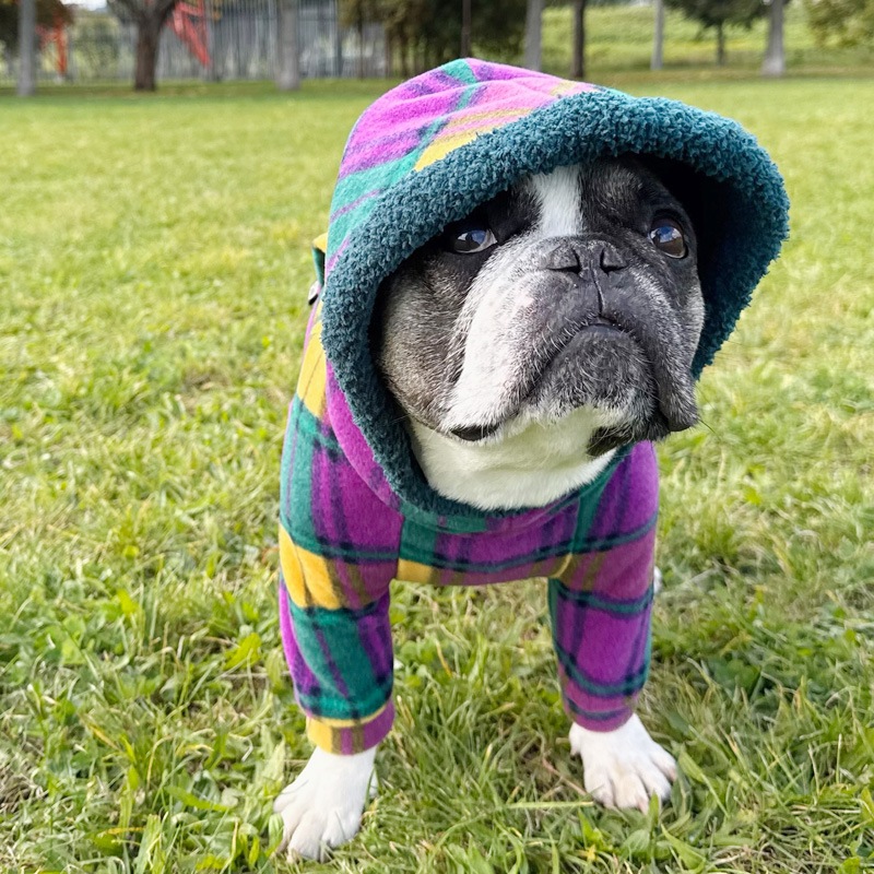 ��ͥ����å��Υե꡼���ѡ����ڥ᡼�����Բġ�