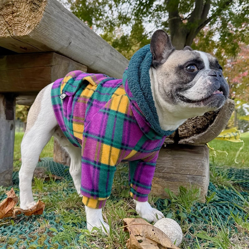 ��ͥ����å��Υե꡼���ѡ����ڥ᡼�����Բġ�